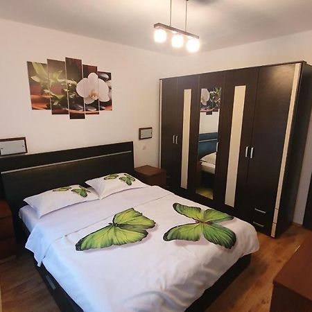 Apartament Cosbuc 巴亚马雷 外观 照片