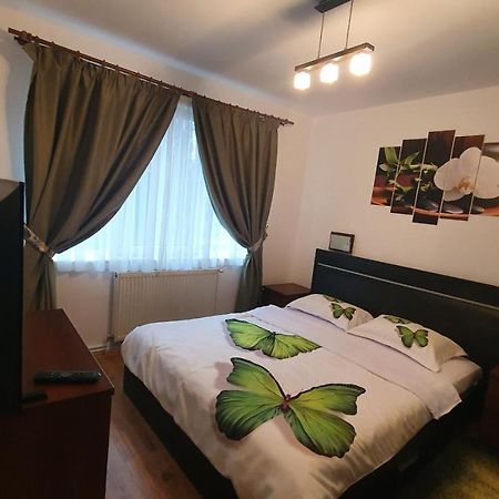 Apartament Cosbuc 巴亚马雷 外观 照片