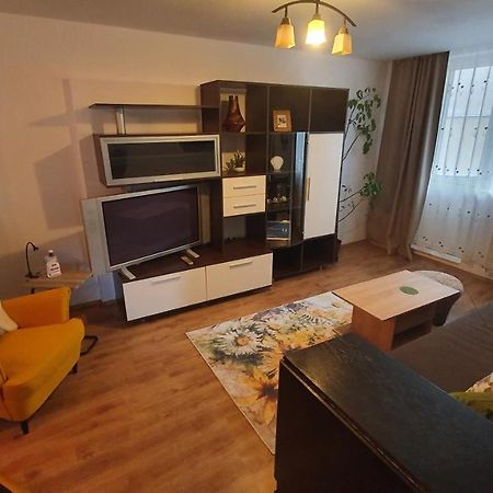 Apartament Cosbuc 巴亚马雷 外观 照片