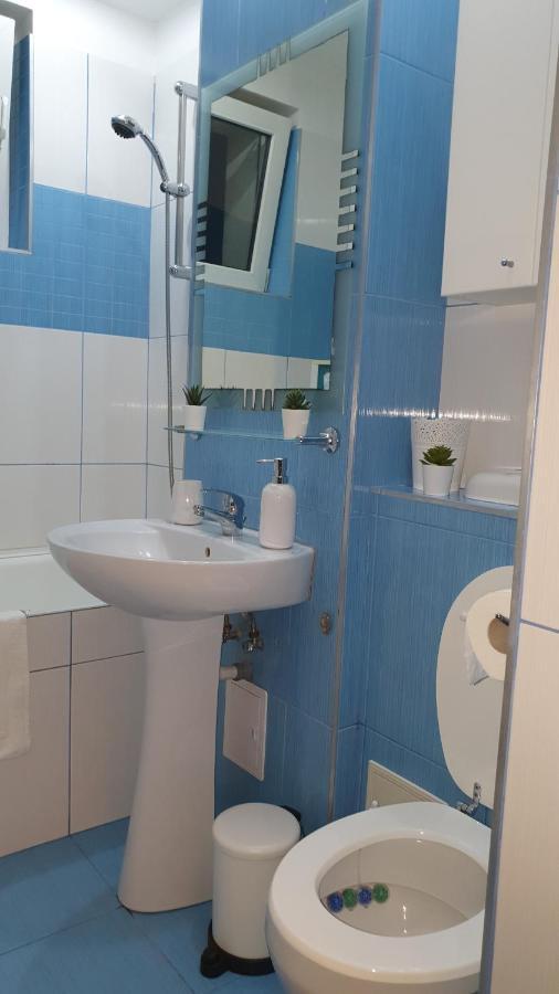Apartament Cosbuc 巴亚马雷 外观 照片