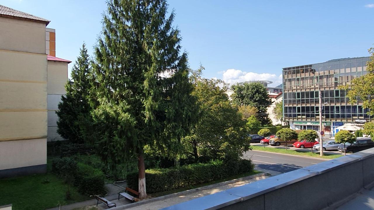 Apartament Cosbuc 巴亚马雷 外观 照片