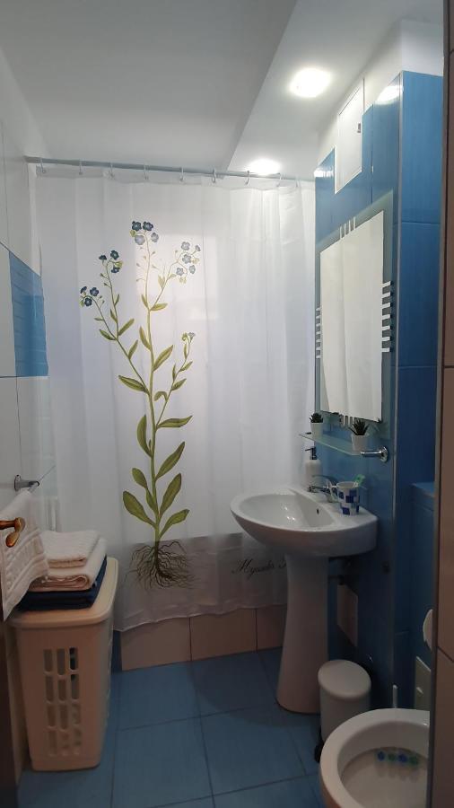 Apartament Cosbuc 巴亚马雷 外观 照片