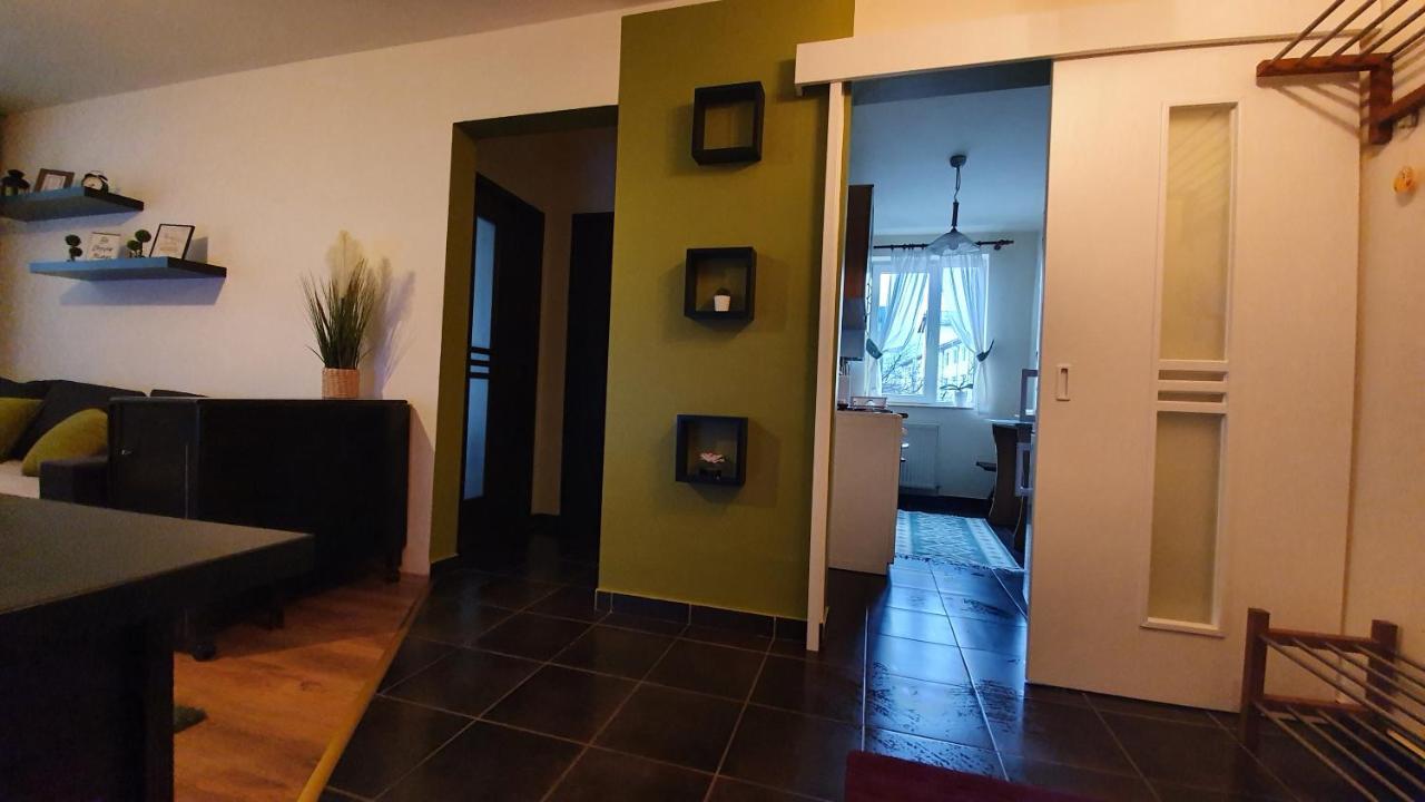 Apartament Cosbuc 巴亚马雷 外观 照片