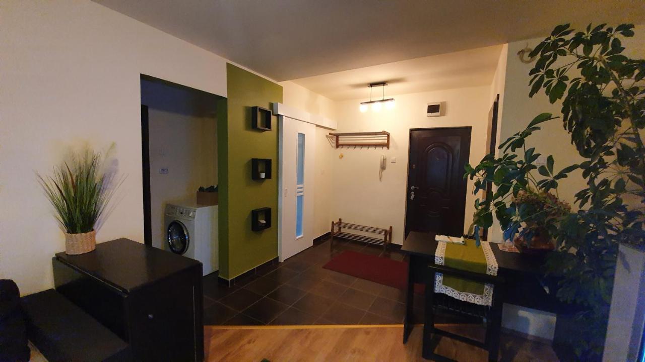 Apartament Cosbuc 巴亚马雷 外观 照片