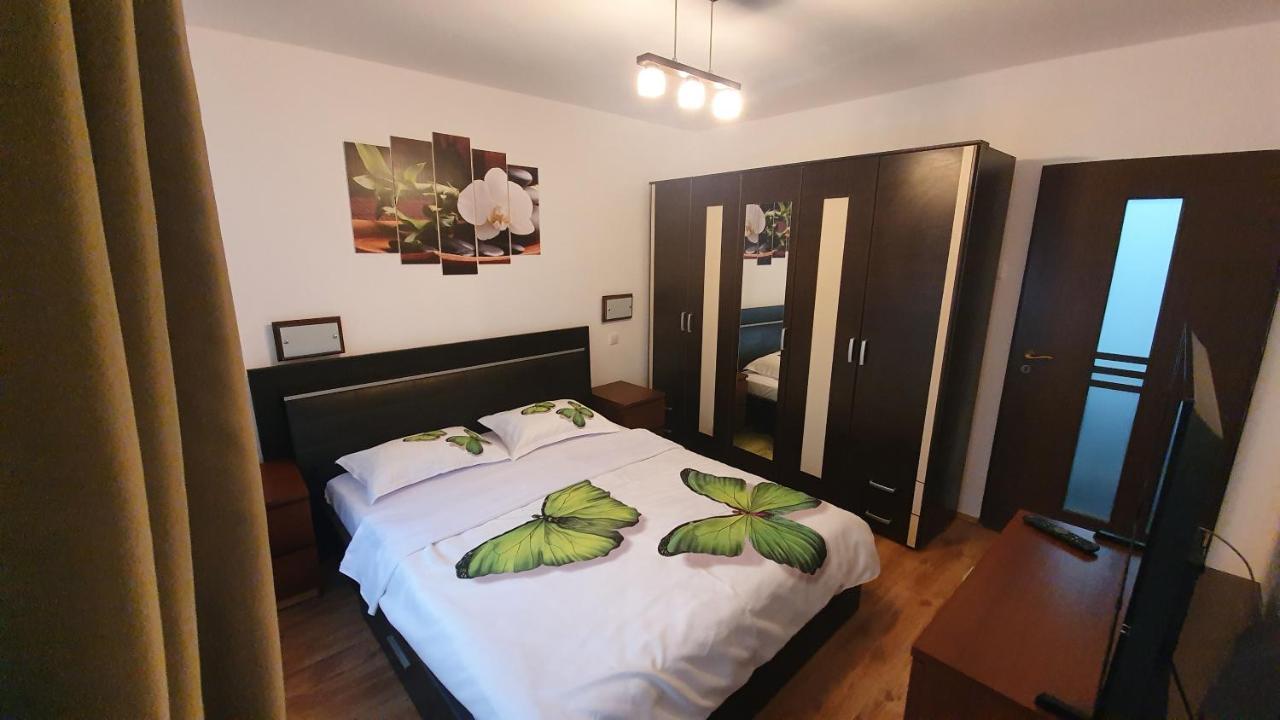 Apartament Cosbuc 巴亚马雷 外观 照片
