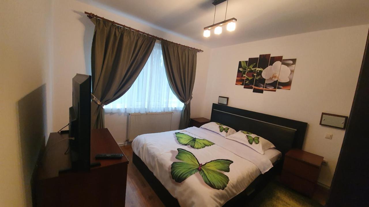 Apartament Cosbuc 巴亚马雷 外观 照片
