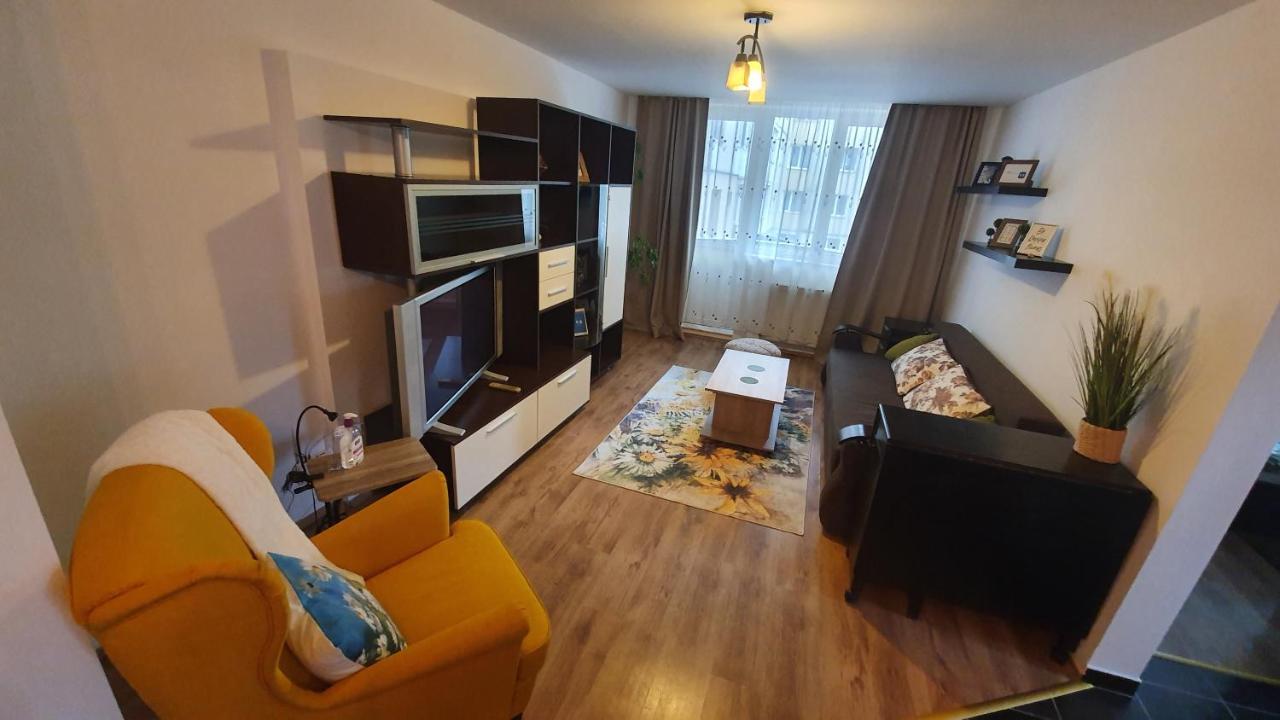 Apartament Cosbuc 巴亚马雷 外观 照片
