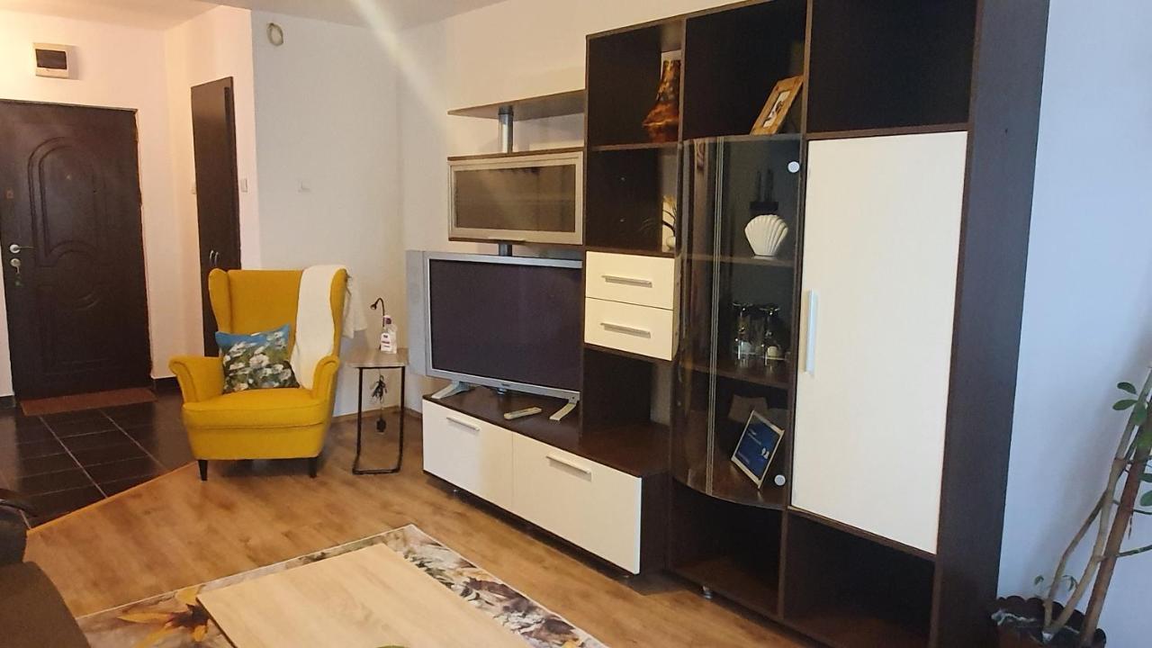 Apartament Cosbuc 巴亚马雷 外观 照片