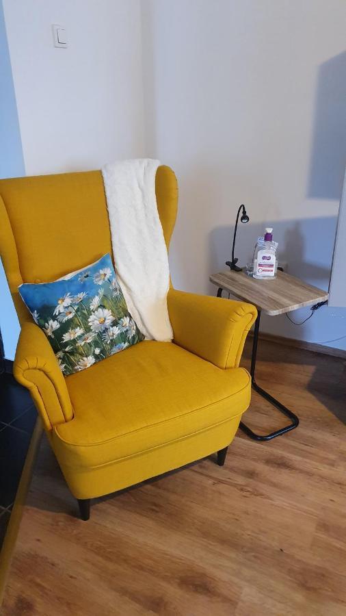 Apartament Cosbuc 巴亚马雷 外观 照片