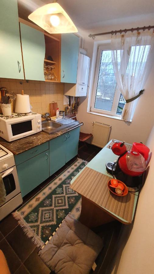 Apartament Cosbuc 巴亚马雷 外观 照片