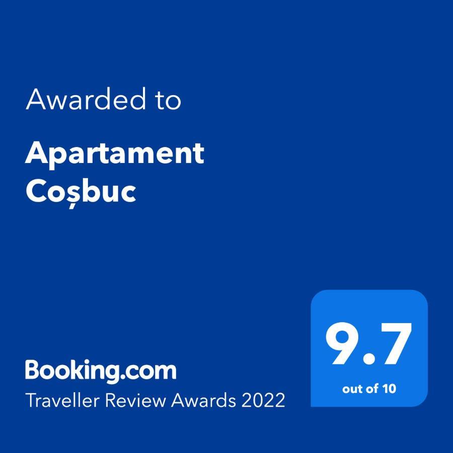 Apartament Cosbuc 巴亚马雷 外观 照片